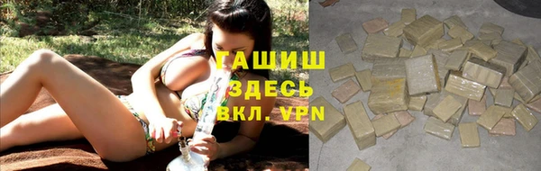 гидра Богородицк