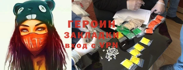 гидра Богородицк