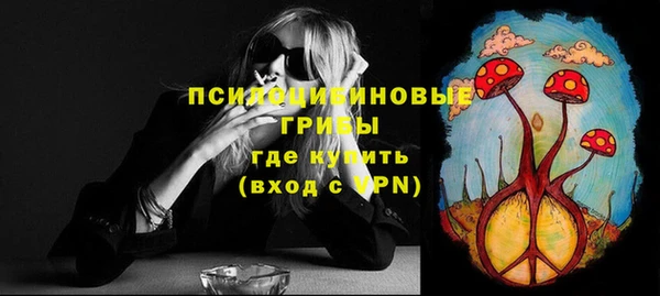 не бодяженный Богородск