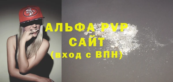 гидра Богородицк
