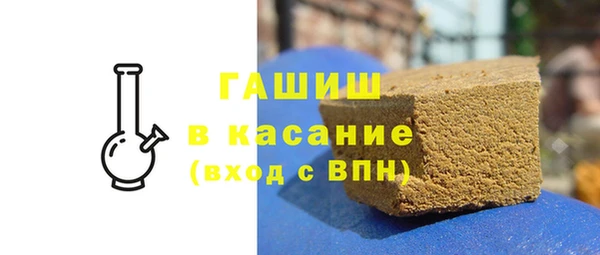 гидра Богородицк