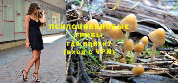 гидра Богородицк