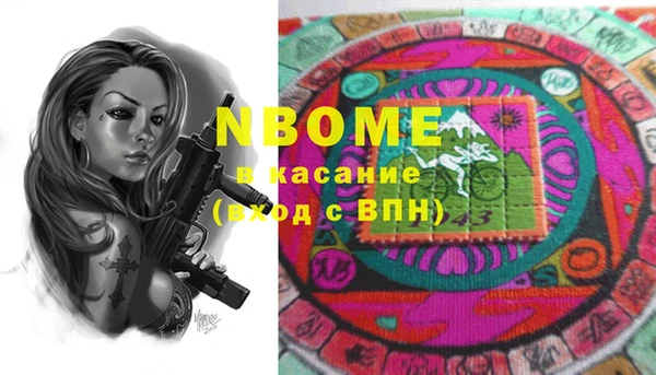 гидра Богородицк
