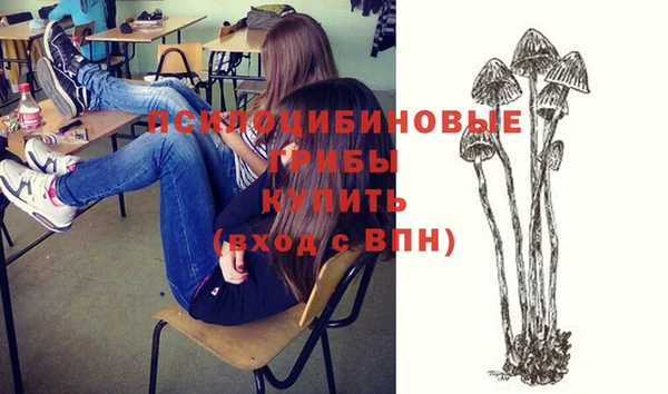 гидра Богородицк