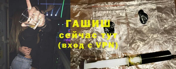 гидра Богородицк