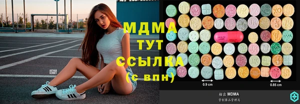 гидра Богородицк