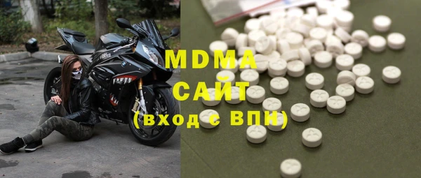 гидра Богородицк